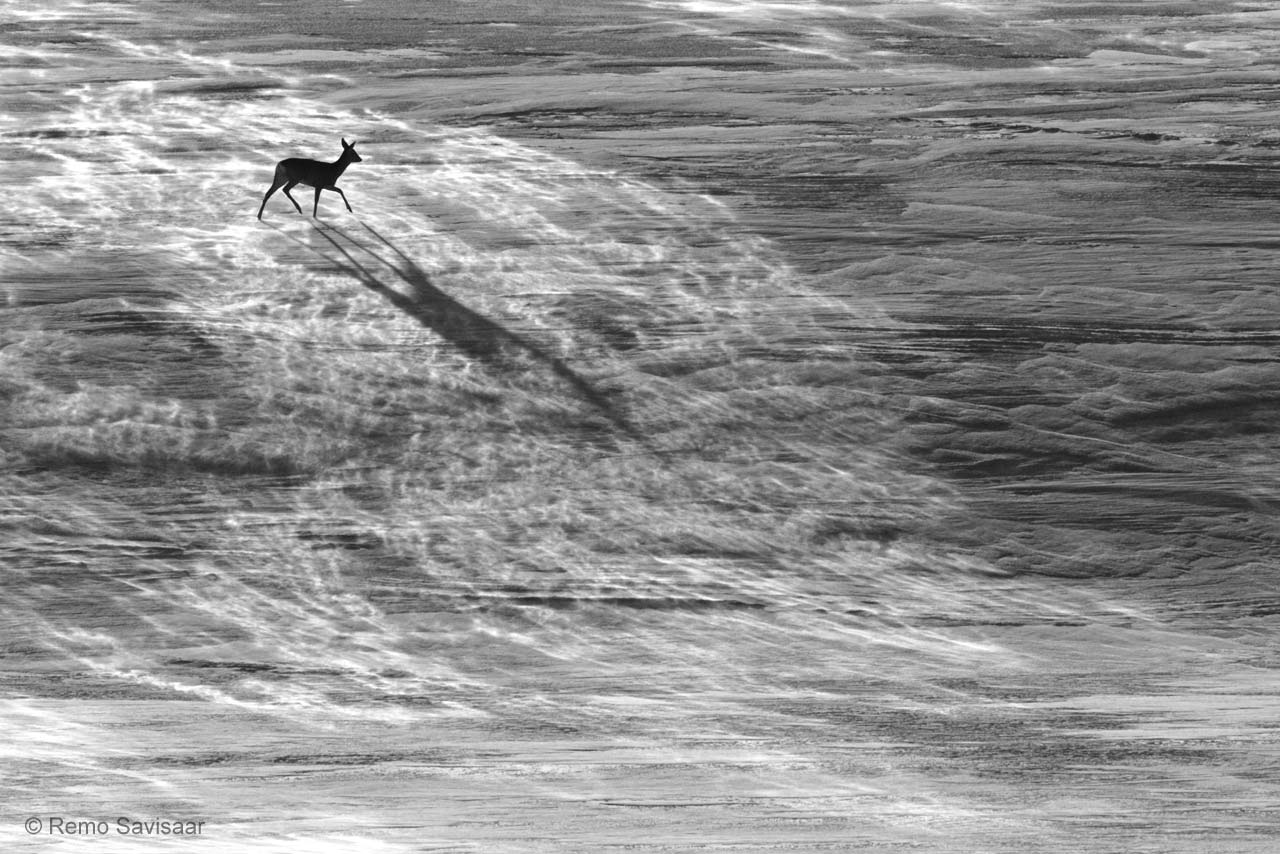 Winter counterpoint
