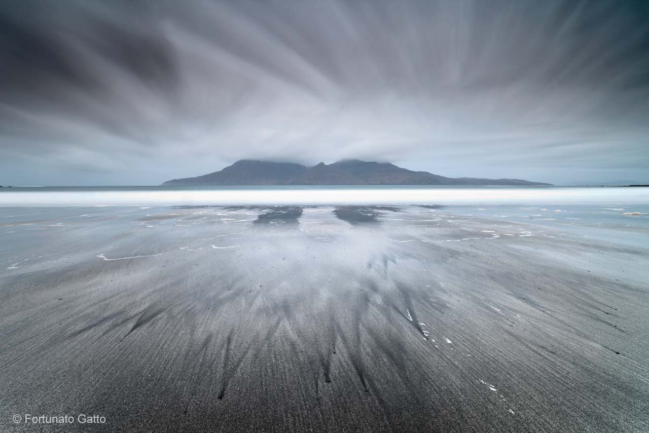 Celebration of a grey day