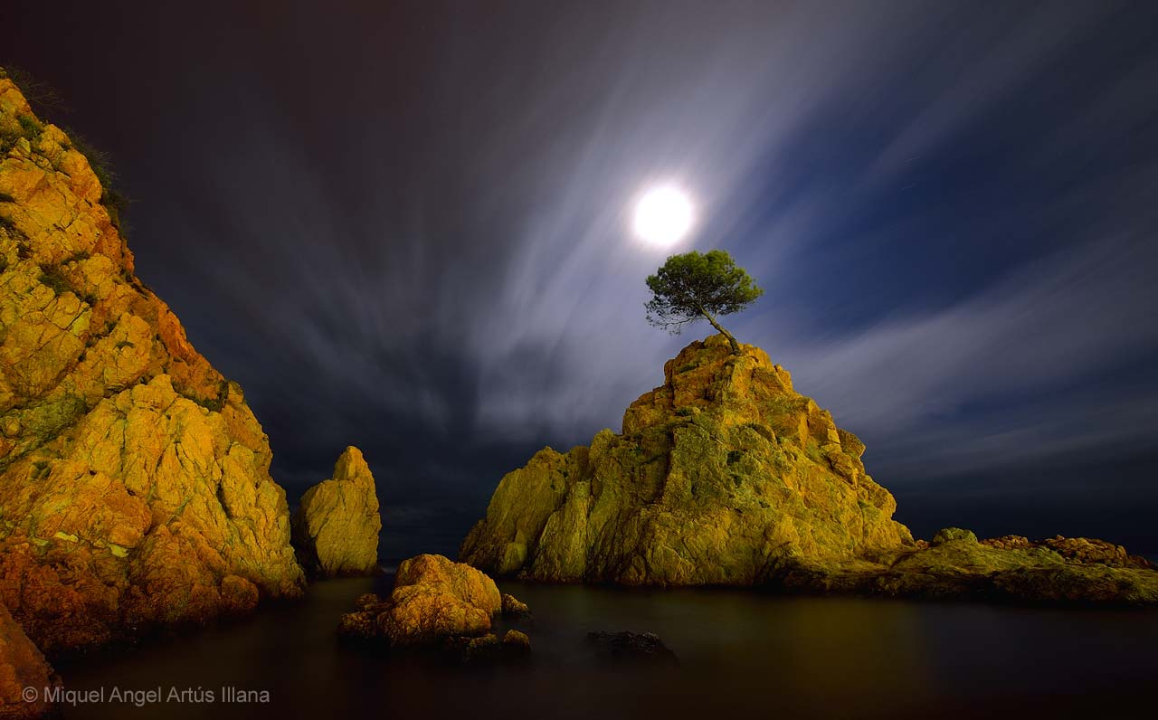 The cove by moonlight