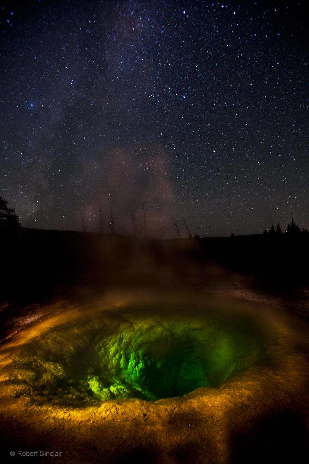 Morning Glory by night