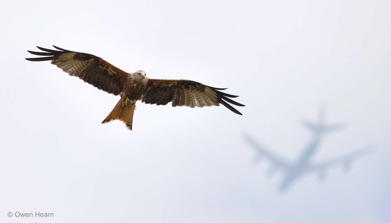 Flight paths