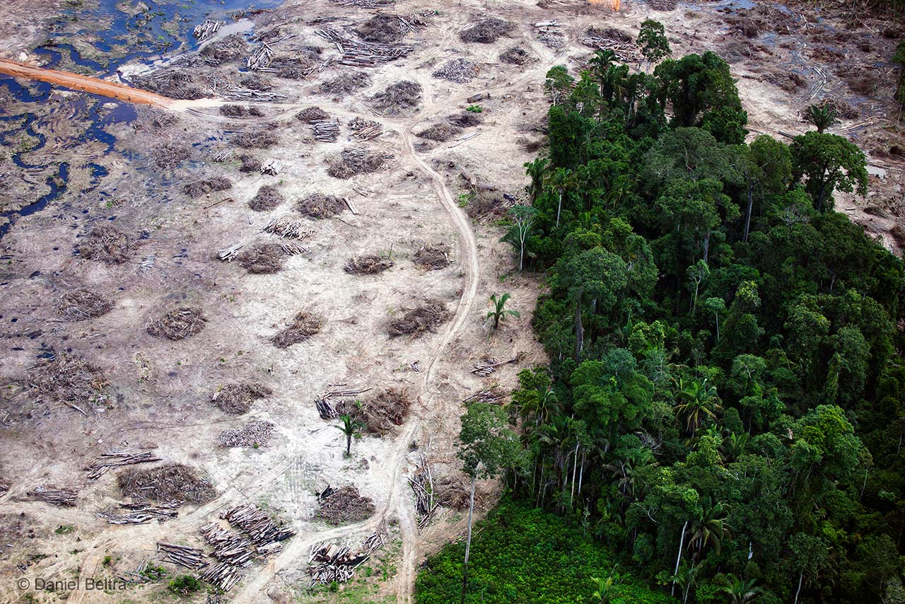 The nature of destruction