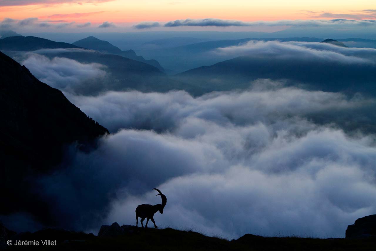 On top of the world