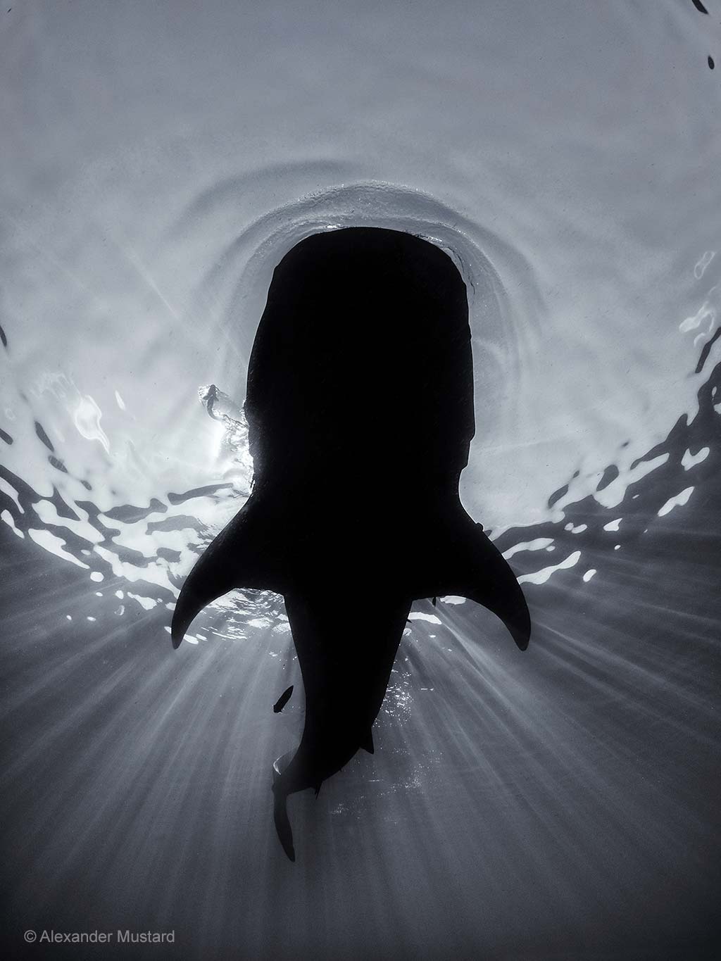 Giant with sunbeams