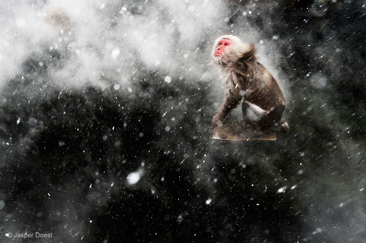 Snow moment