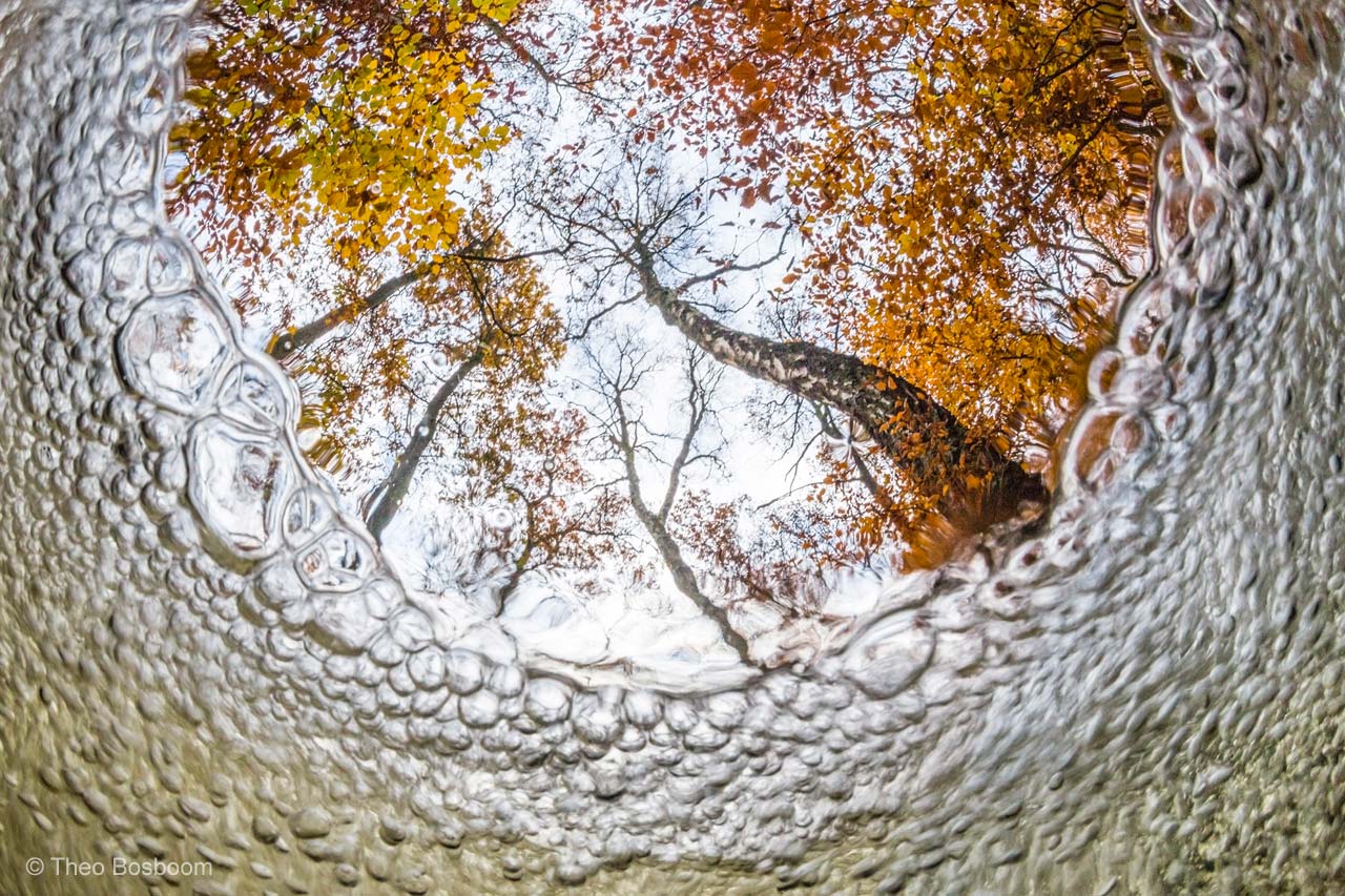 Fish-eye view