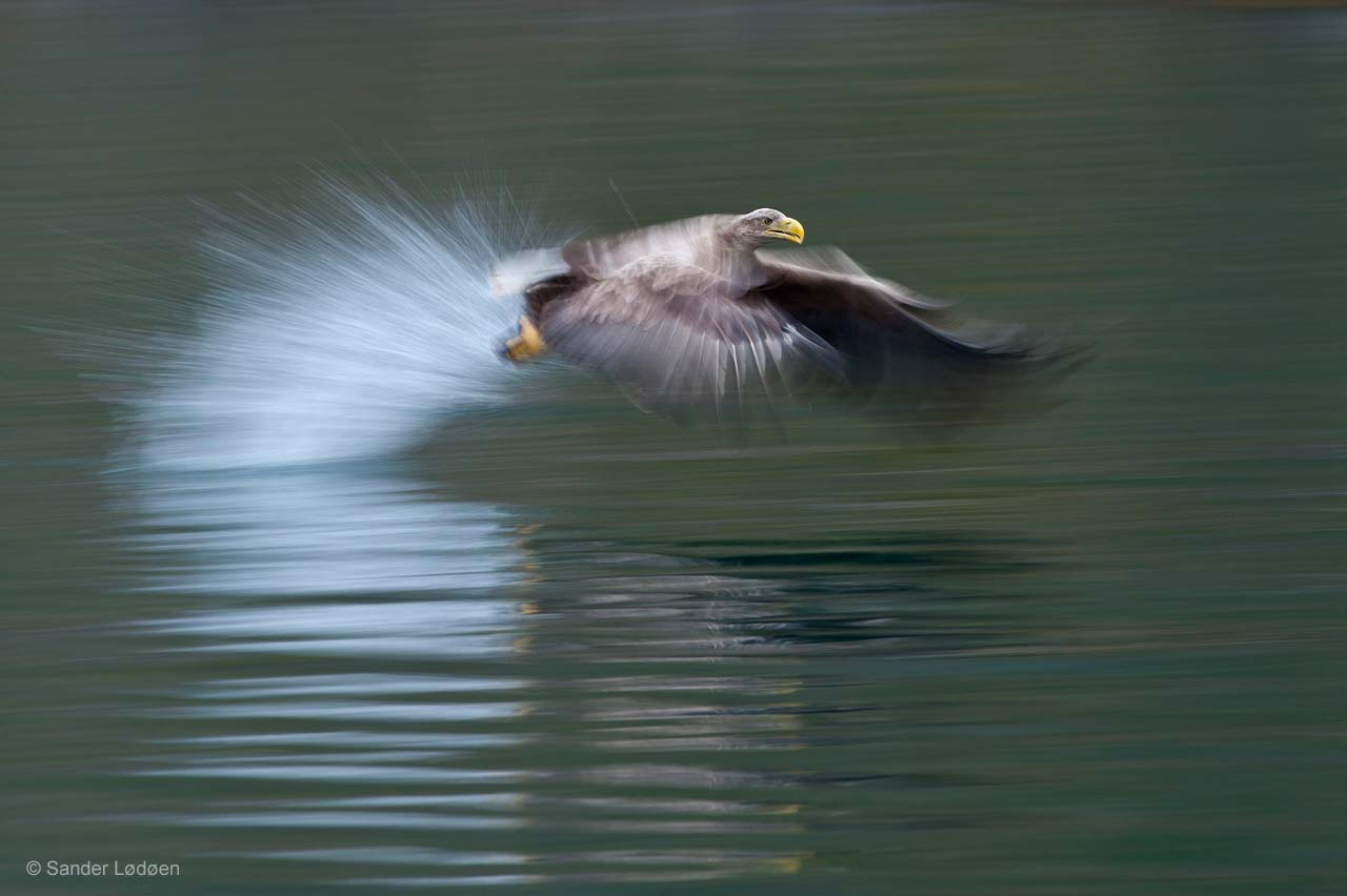 Catch of the day