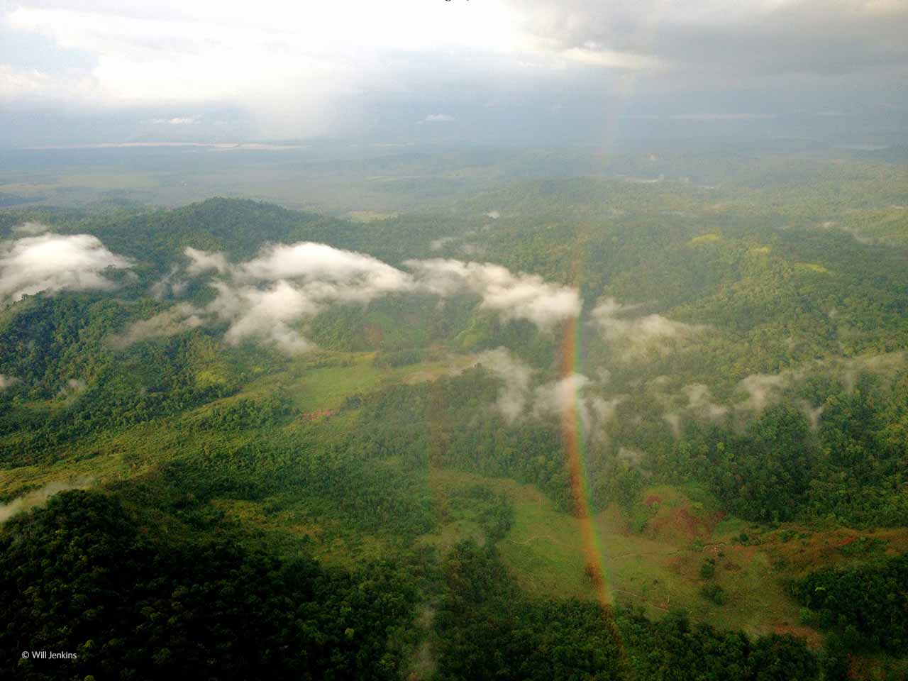 Pot of gold