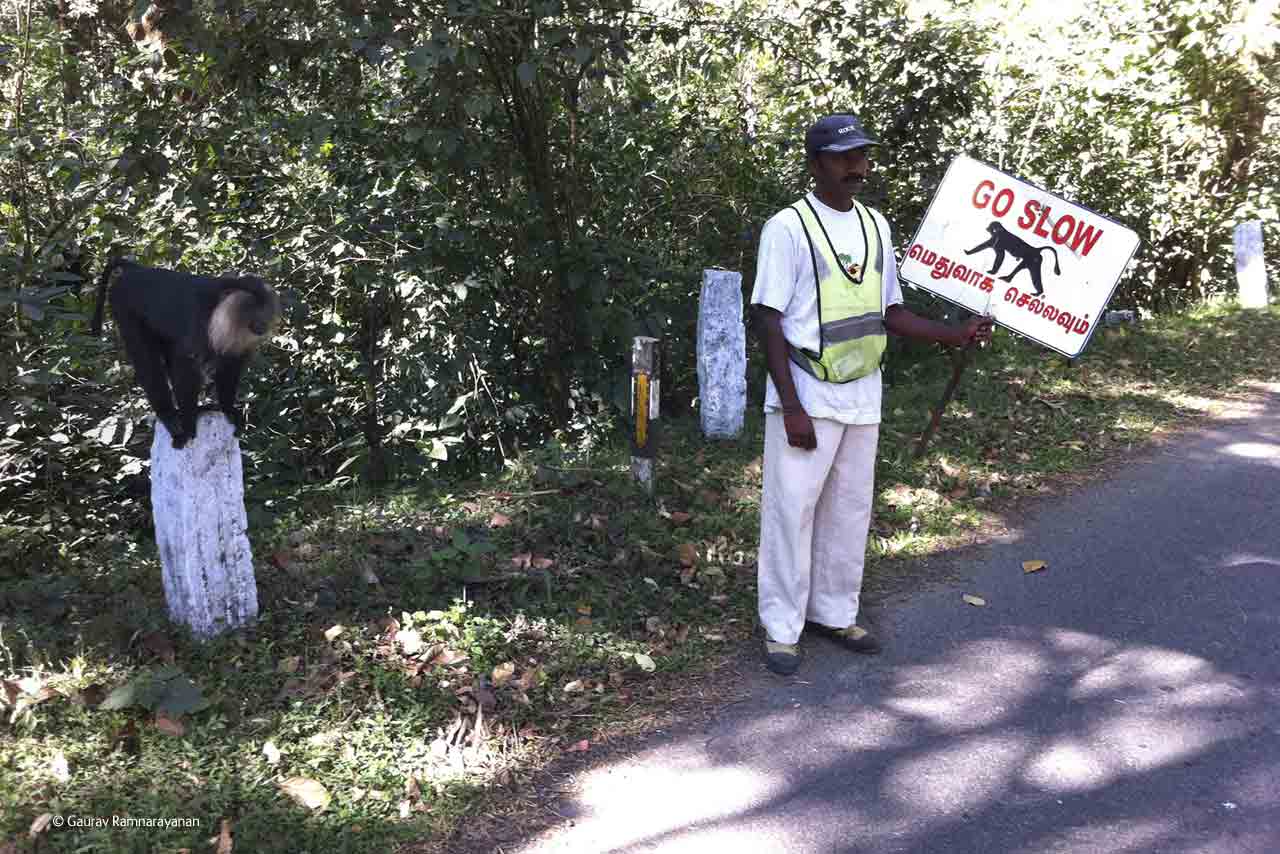 Traffic Regulation