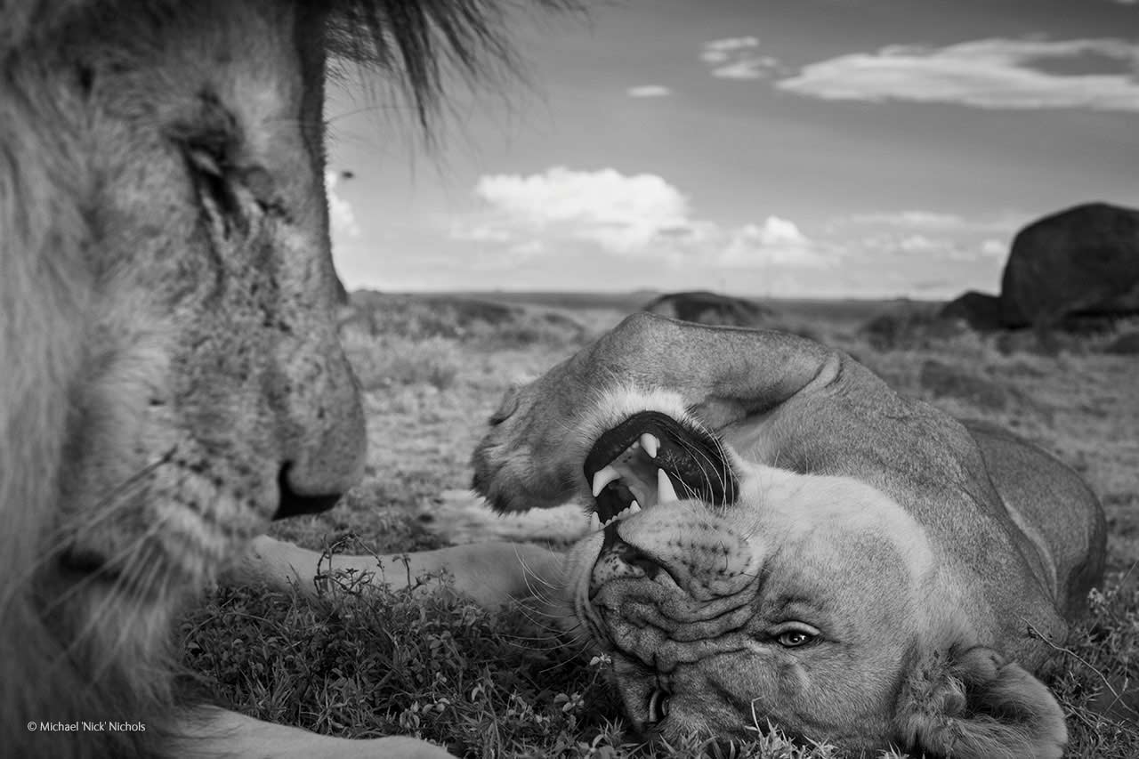 Intimacy