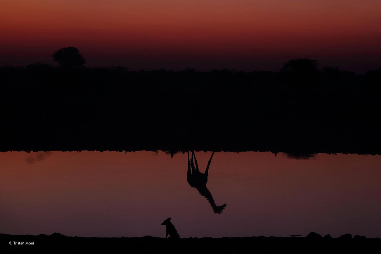 Sunset reflection