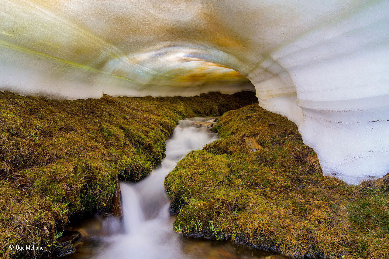The tunnel of spring