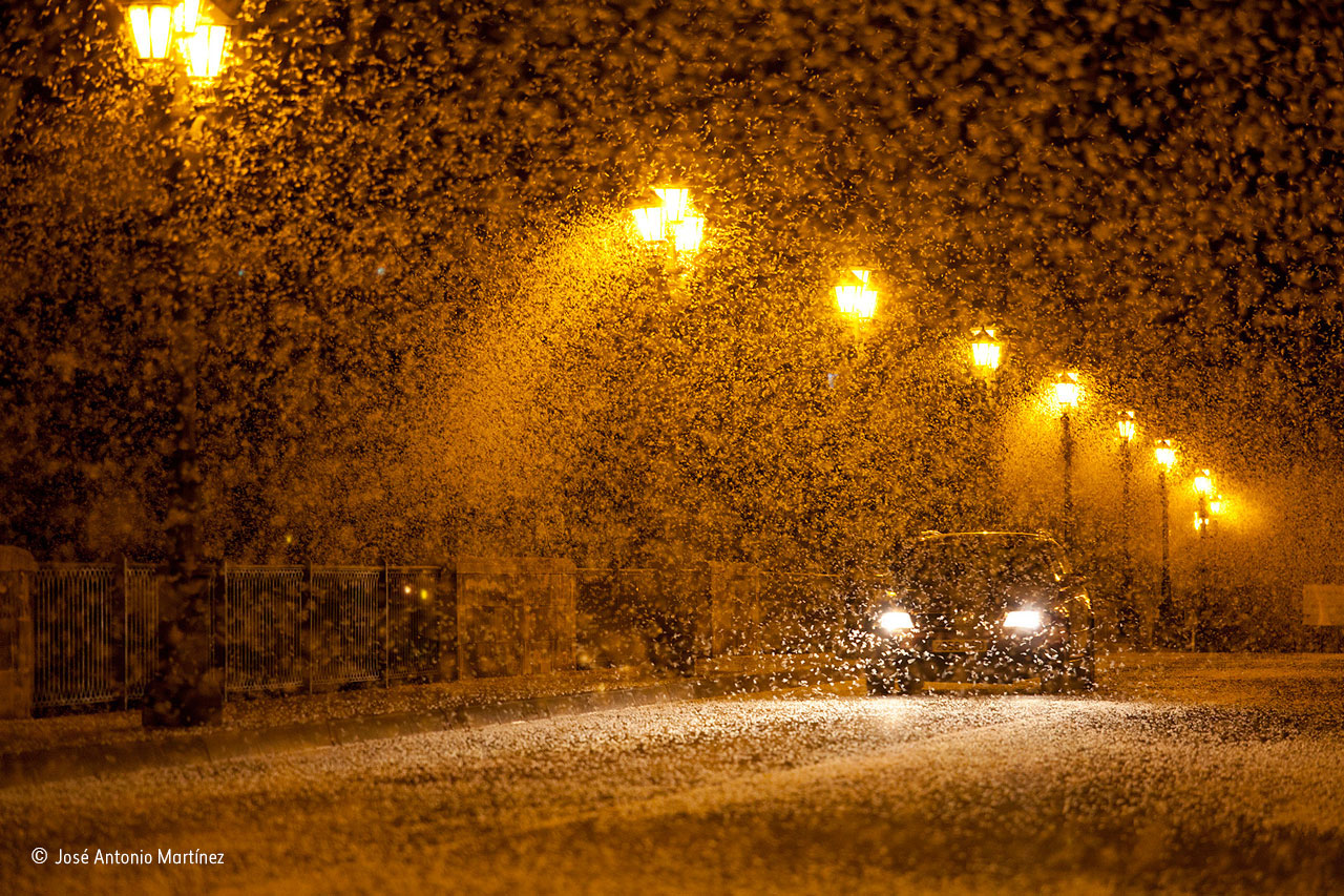 The blizzard of birth and death