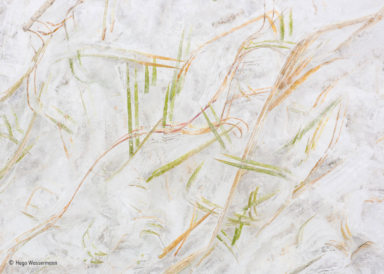 Ice design