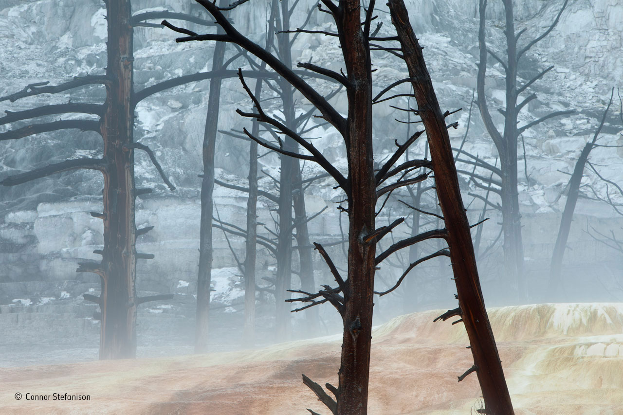 Hot-spring skeletons