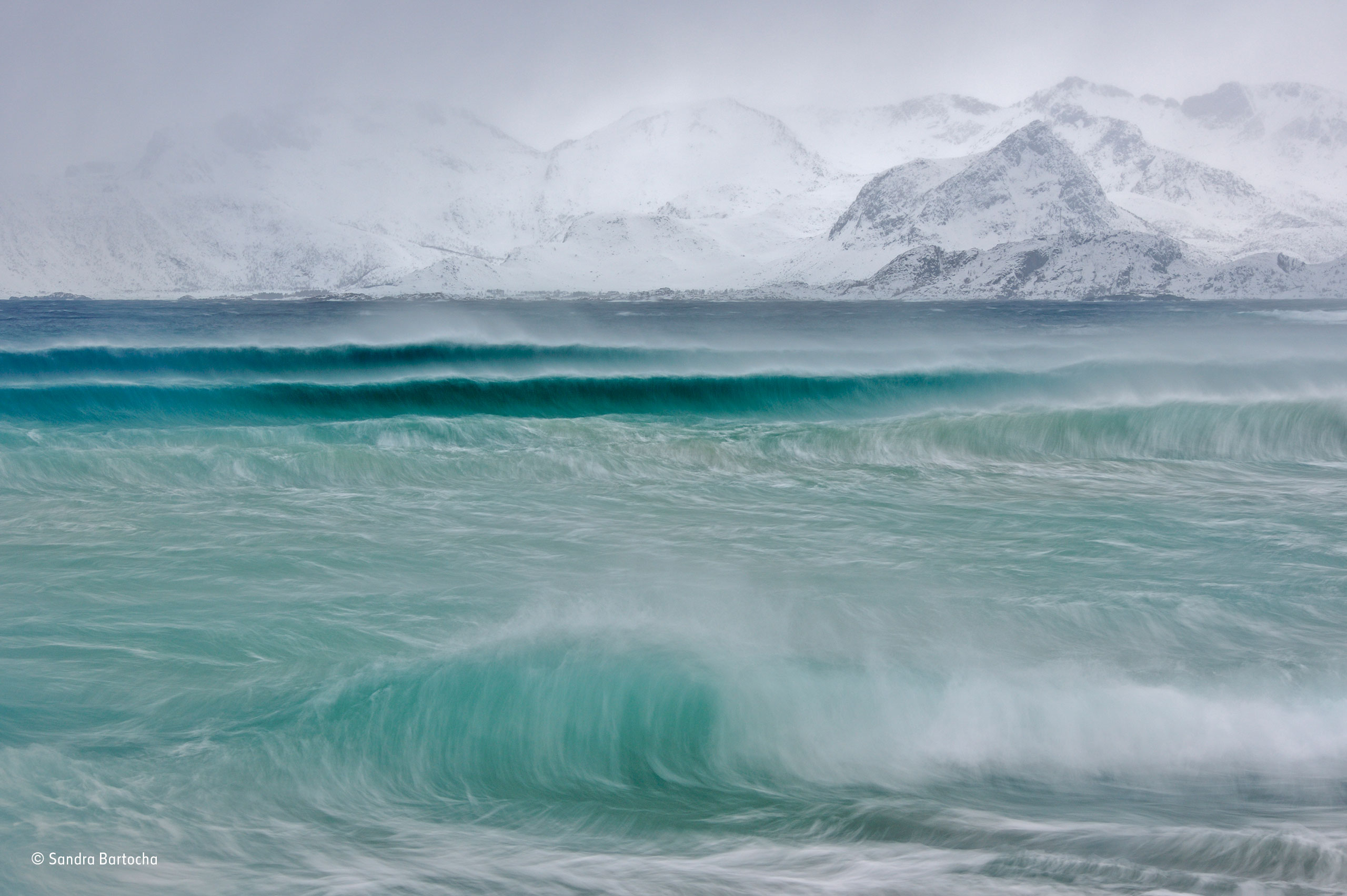 Storm rollers | Wildlife Photographer of the Year | Natural History Museum
