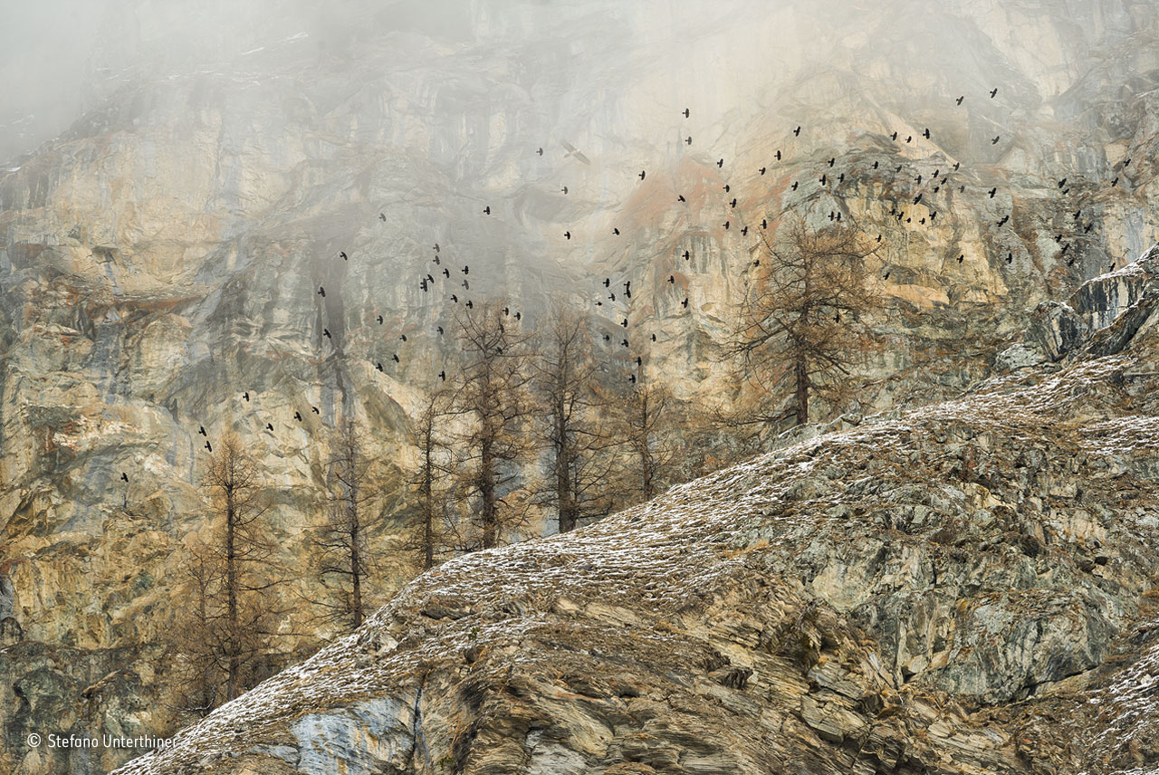 Spirit of the mountains