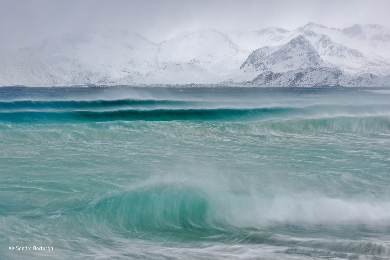 Storm rollers