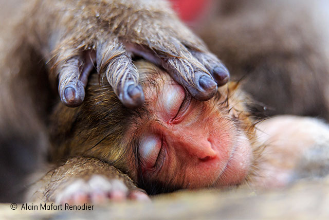 A mother’s hand
