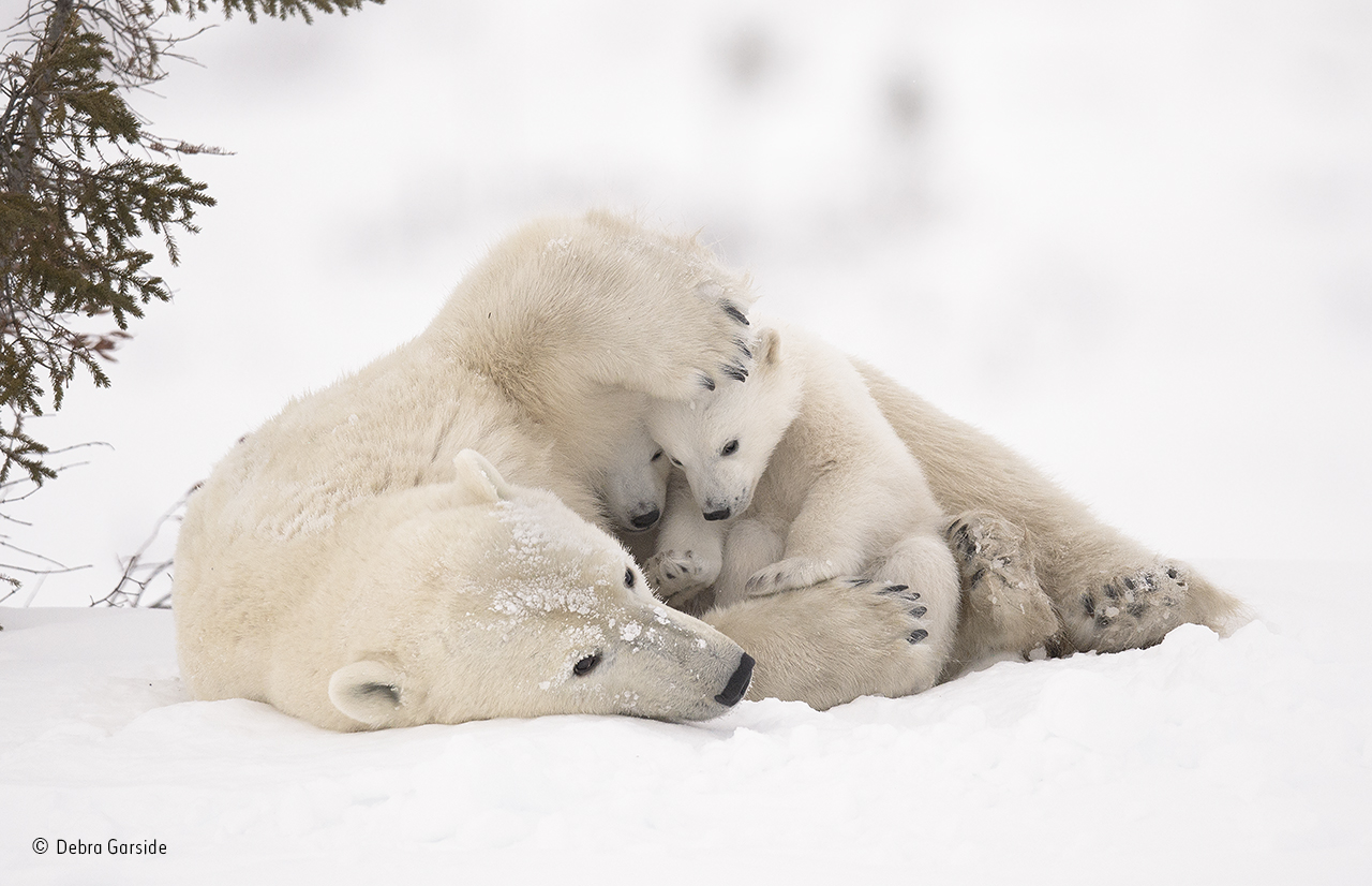 Warm embrace