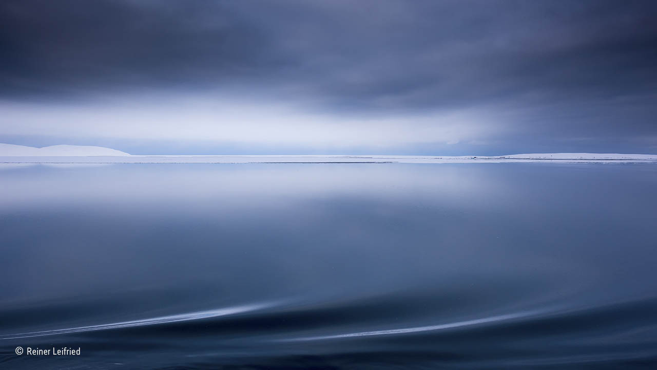 Arctic blues