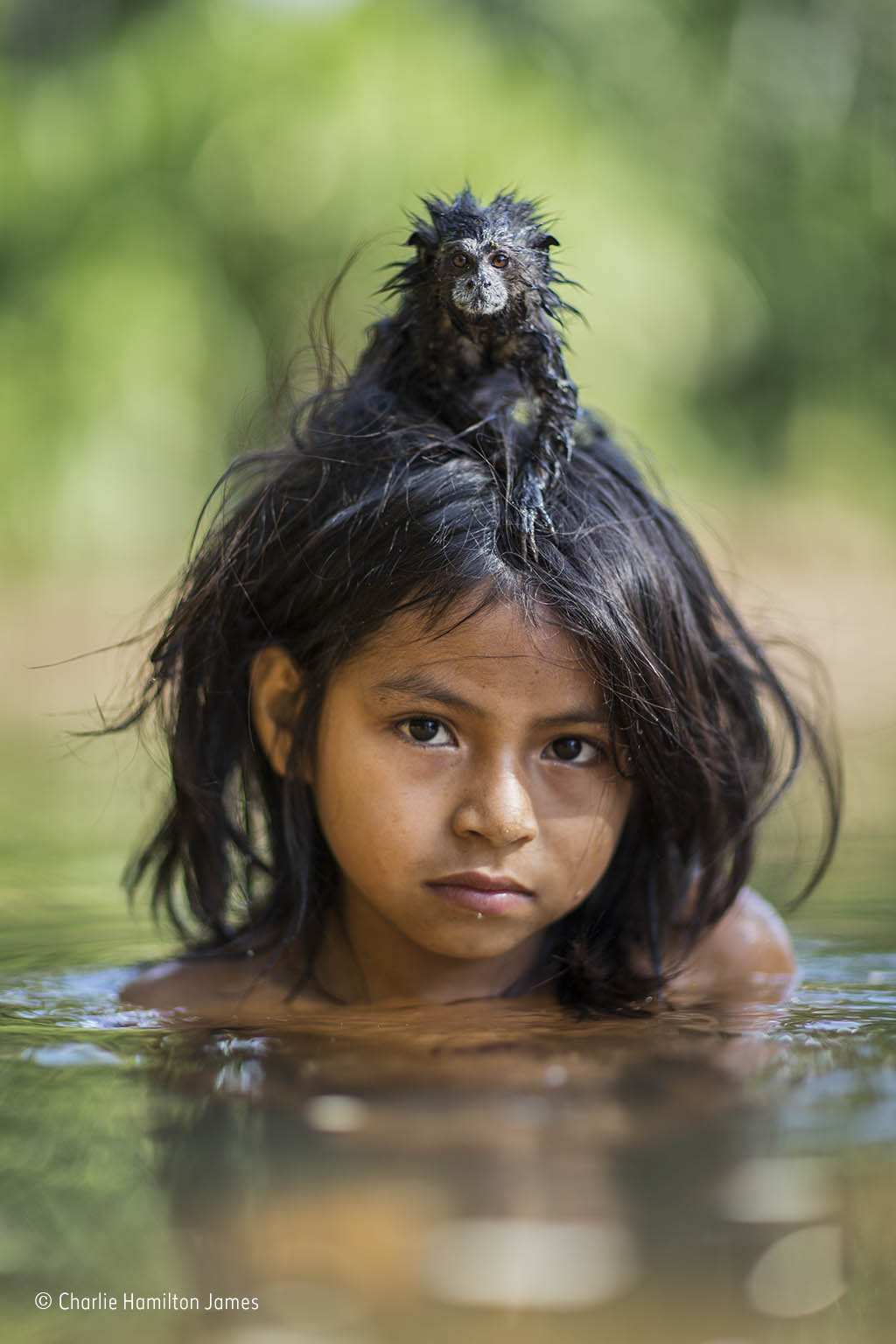 Children of the rainforest | Wildlife Photographer of the Year ...