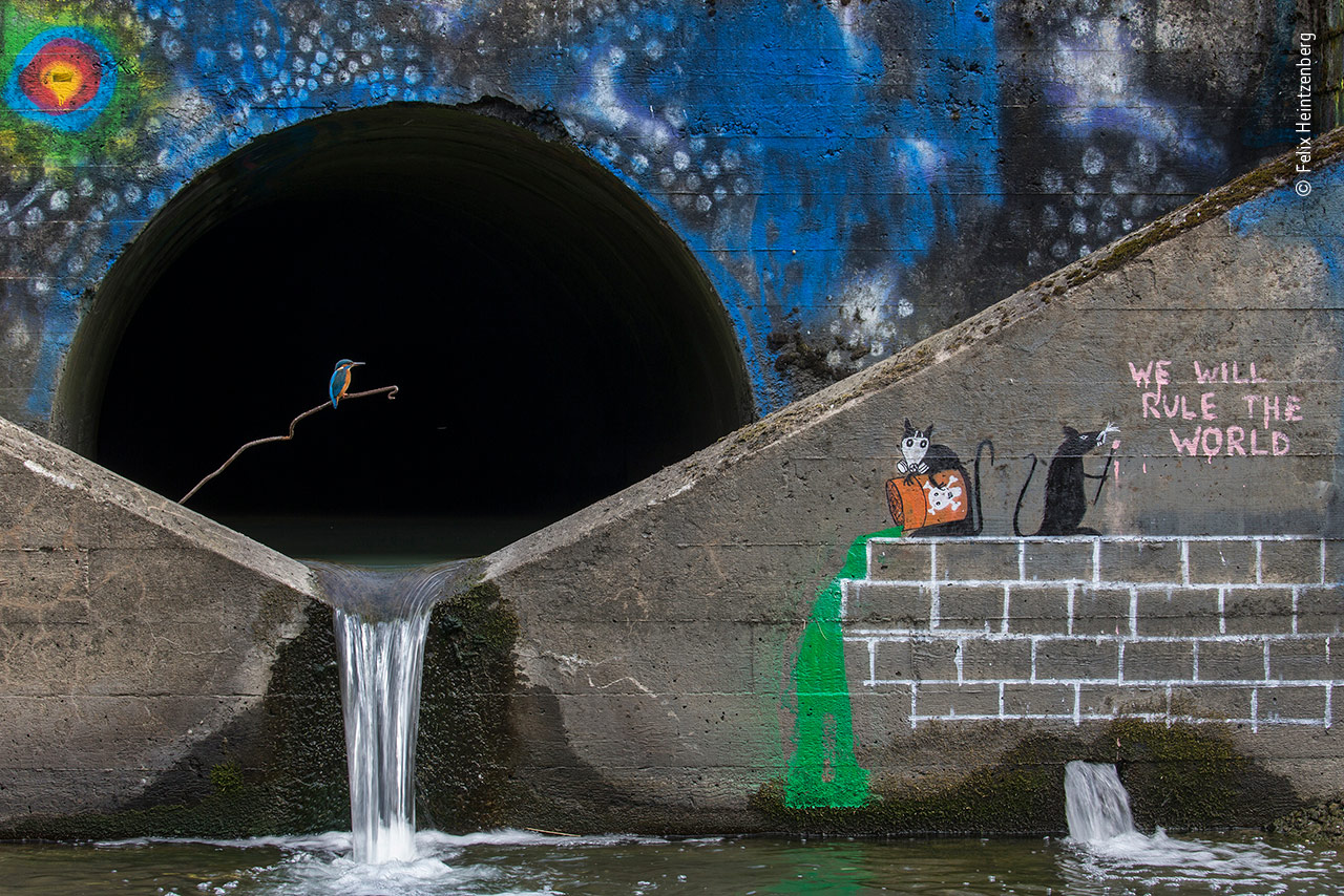City Fisher