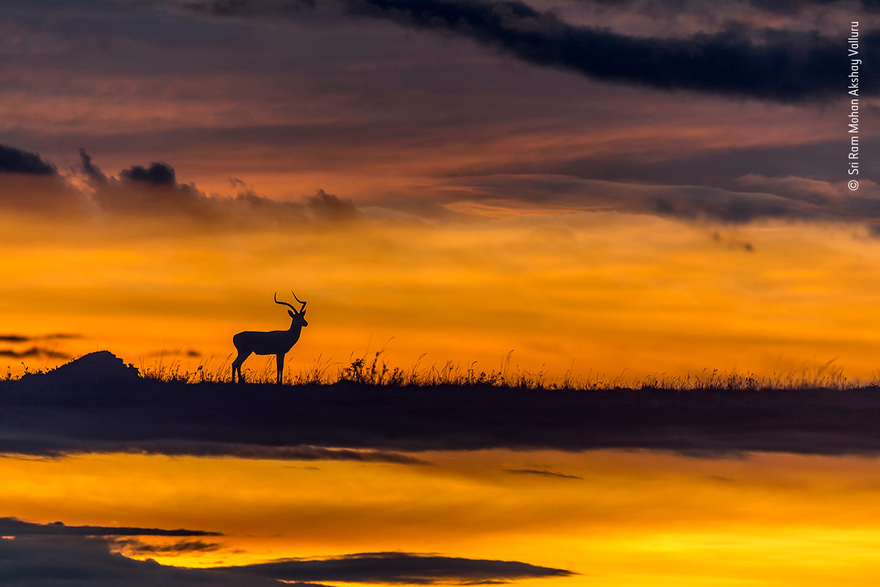Reflective Sunset