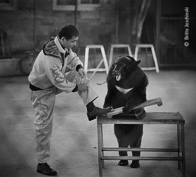 Unbearable