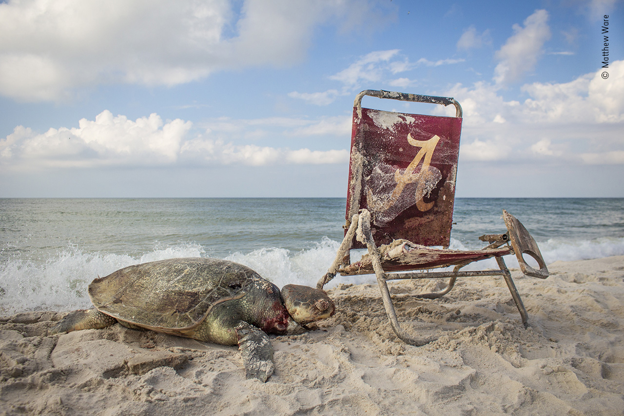 Beach Waste