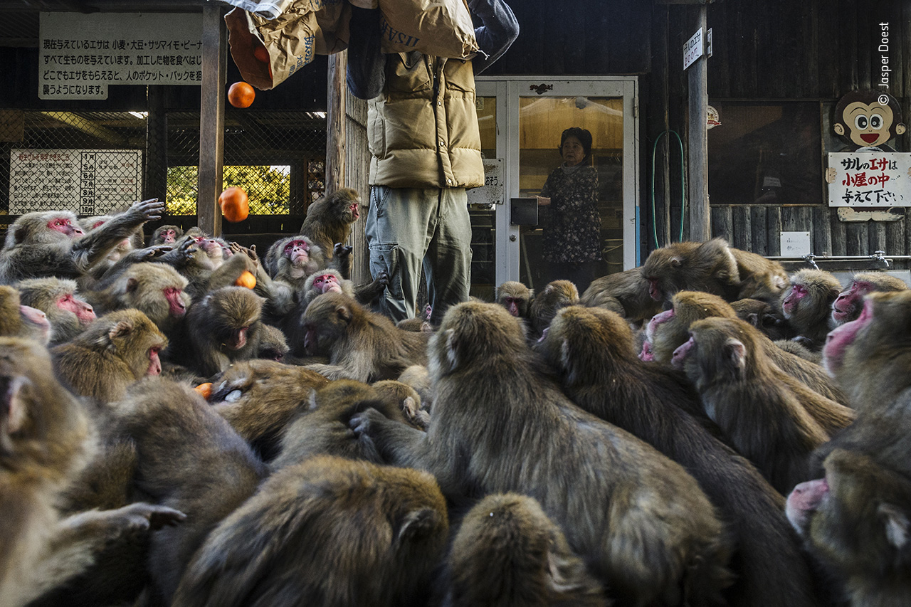 Feeding Time