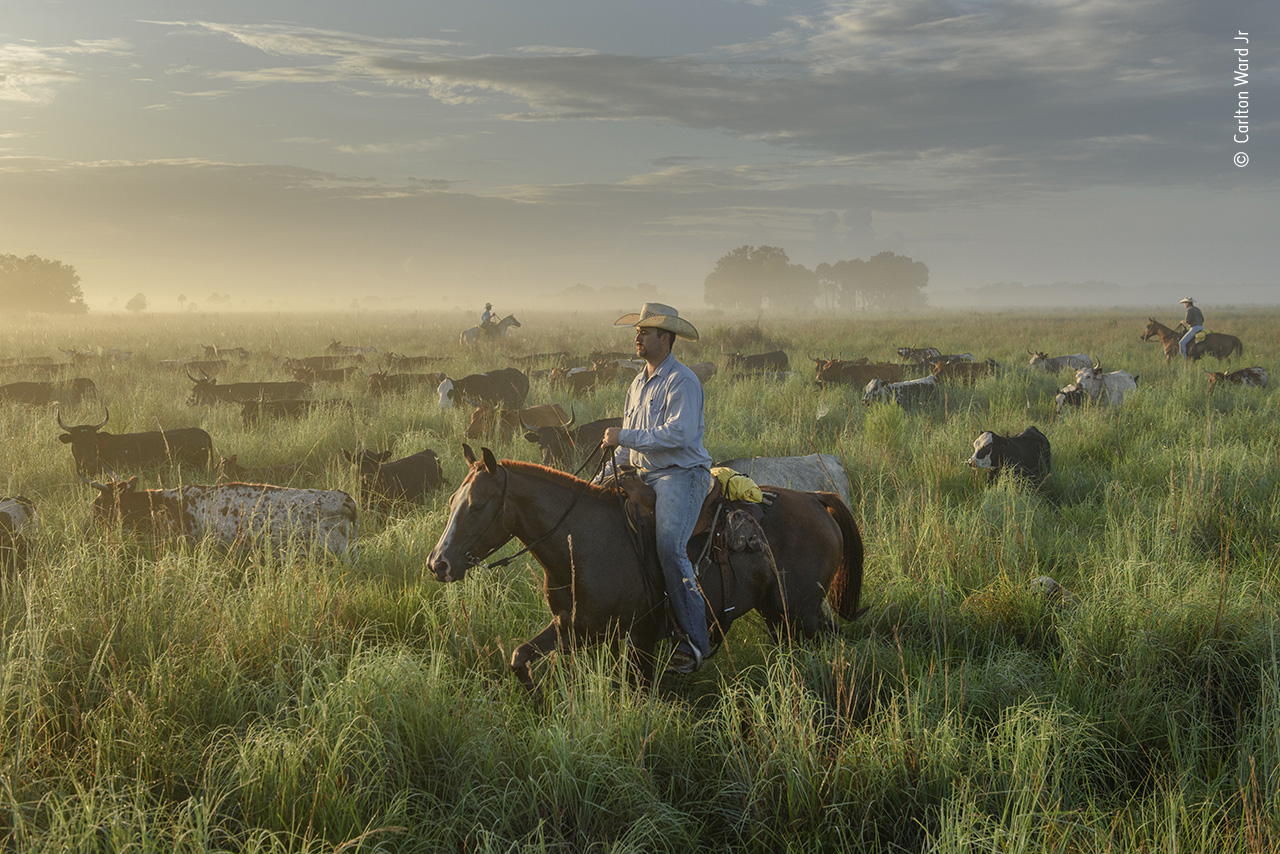 Saved by Ranching