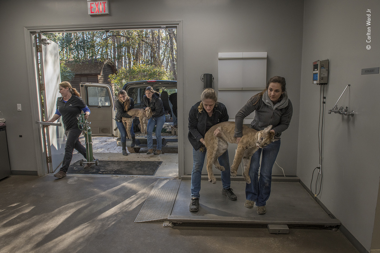 Family Rescue