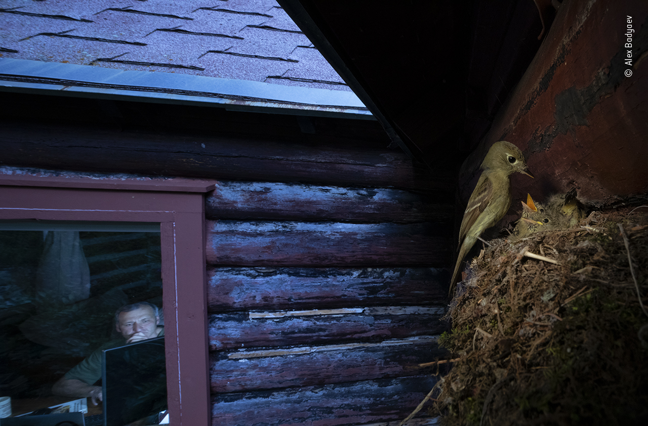 Watching You Watching Them