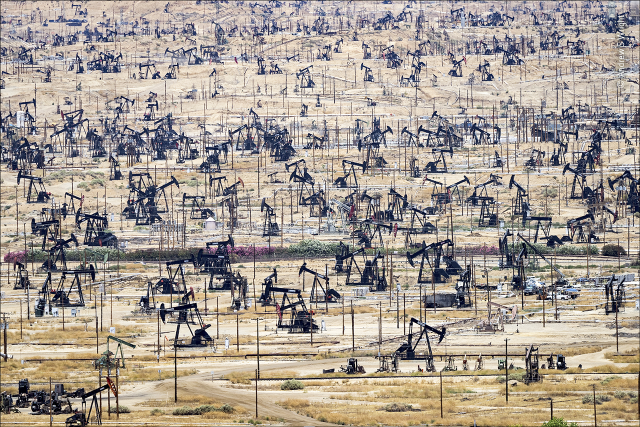 The Price of Oil