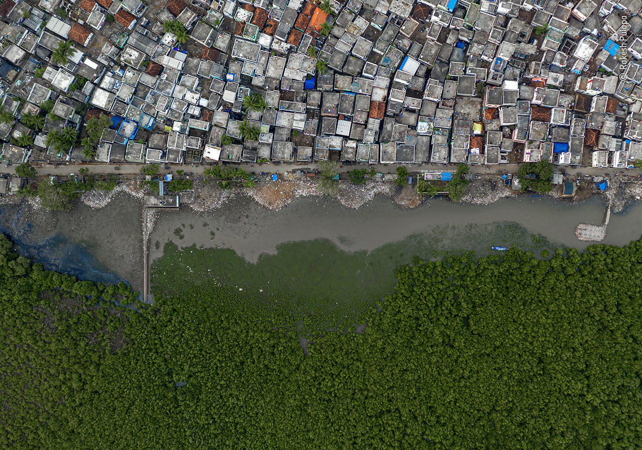 The nurturing wetland
