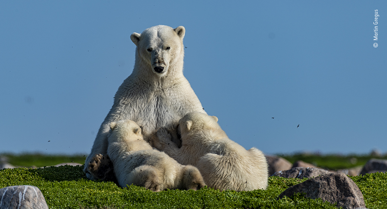 Family at ease