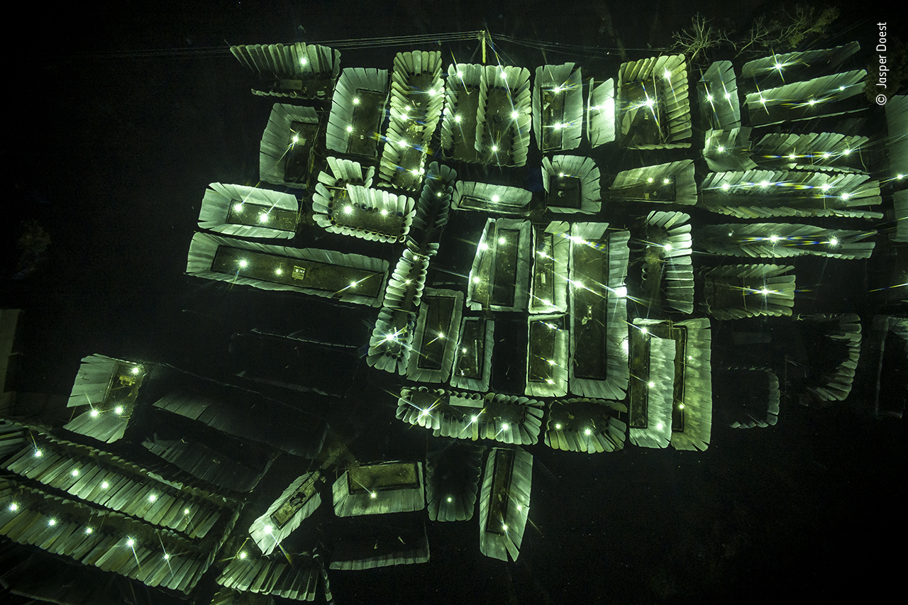 A swarm of traps