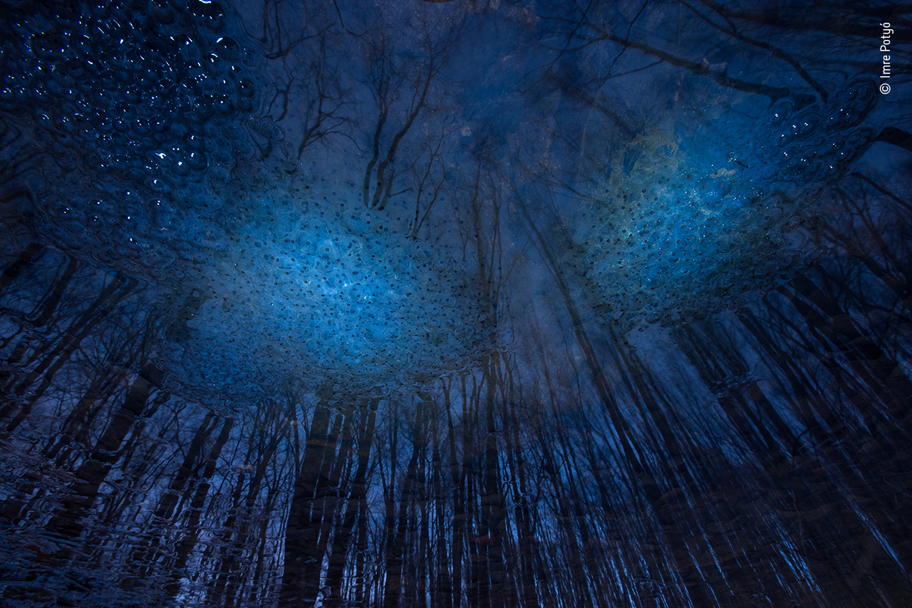 Universe of eggs