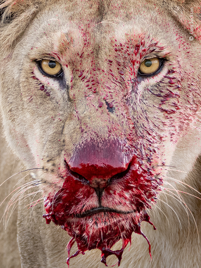 Raw moment