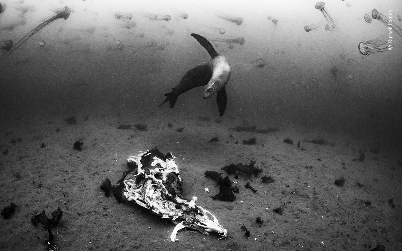 Oceans: past, present and future