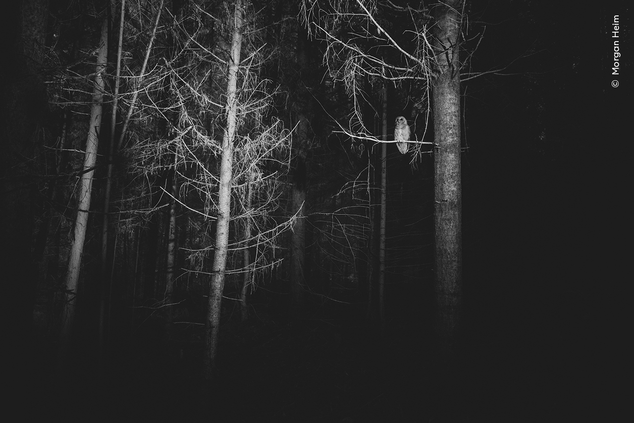 In the Spotlight