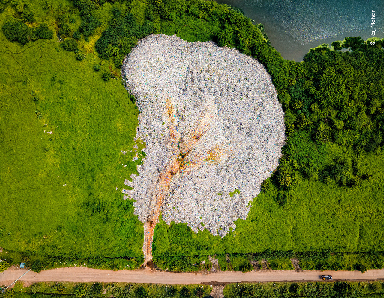 Ashes of a Wetland