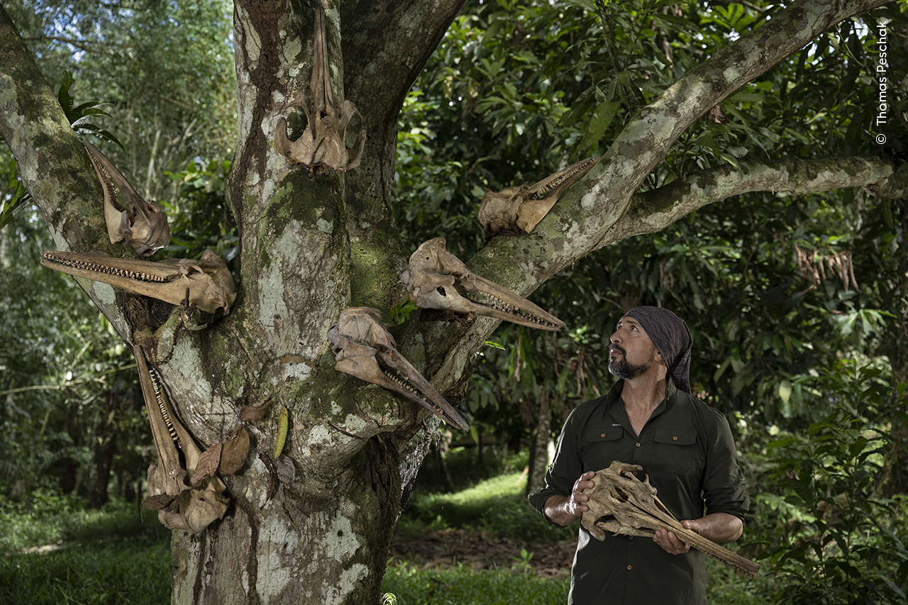 Tree of Skulls