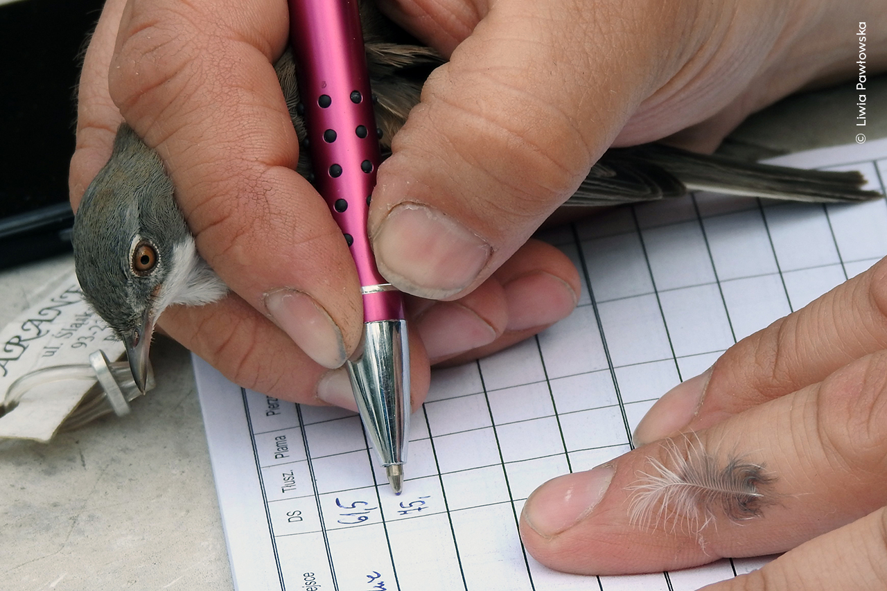 Recording by Hand