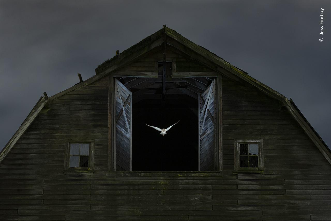 Edge of Night