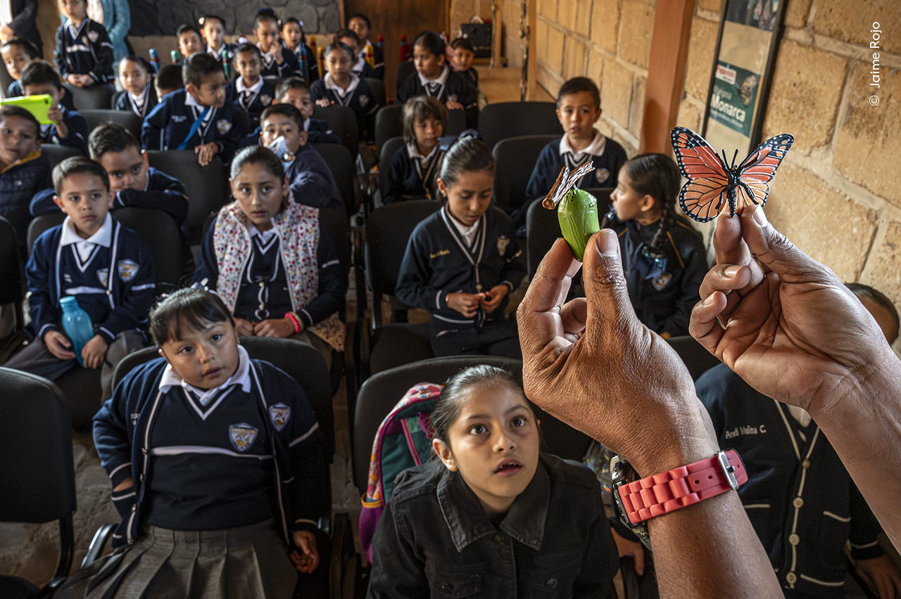 Classroom Conservation
