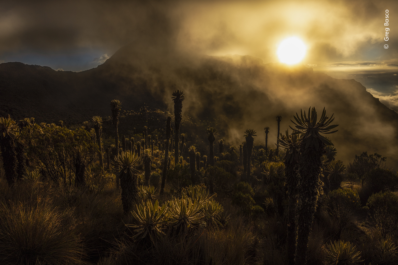 Páramo Sunset