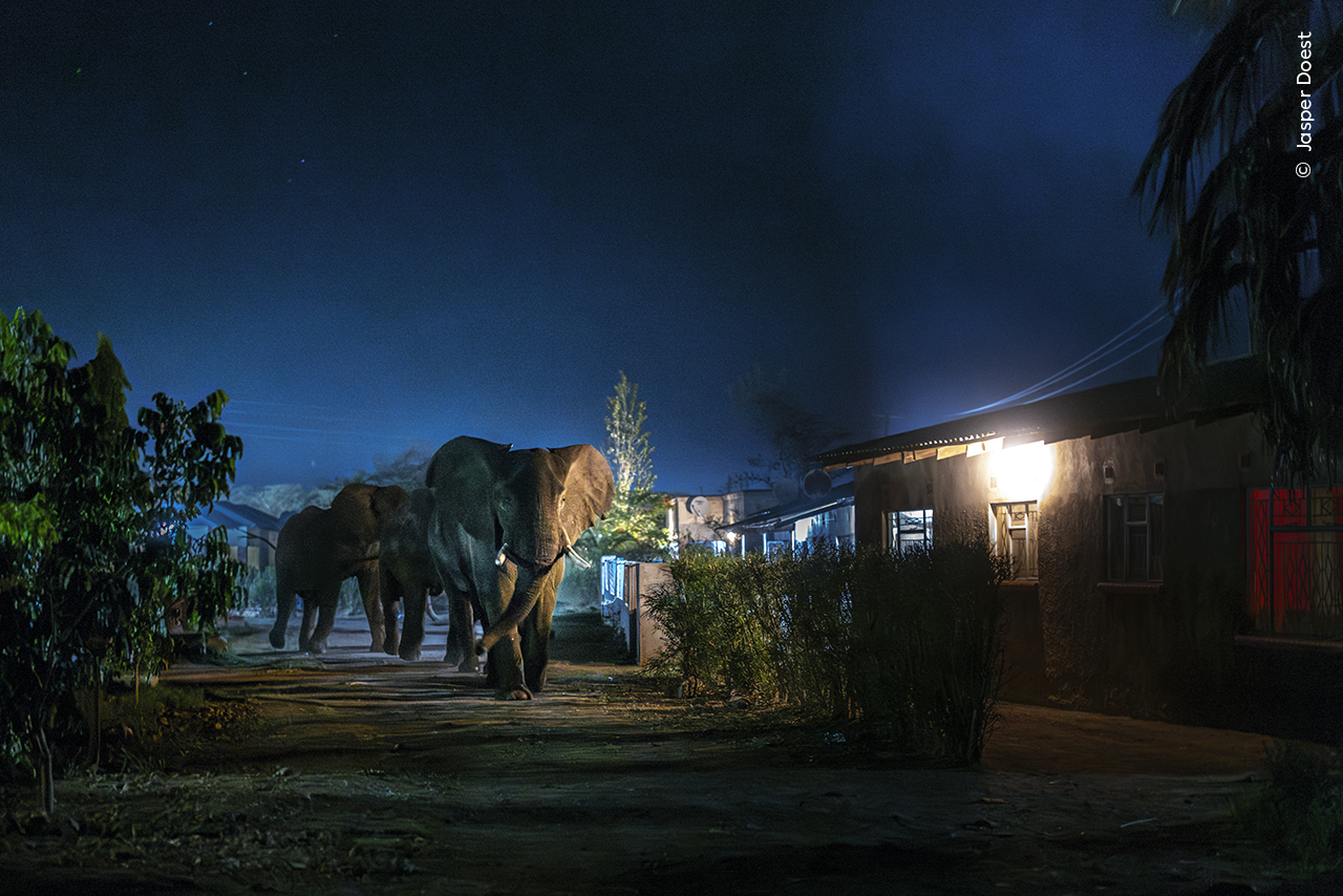 Curfew in Livingstone