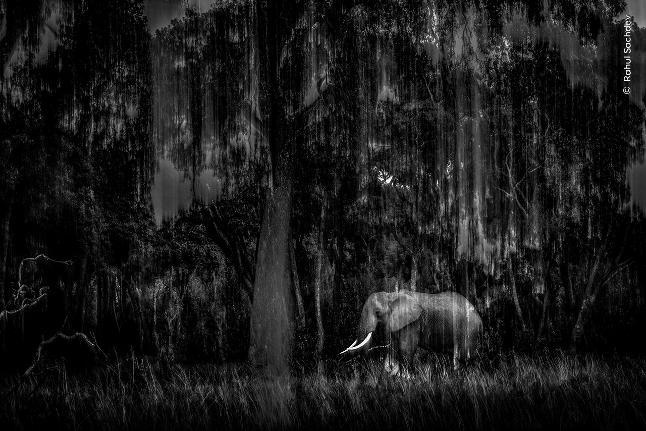 고요의 오아시스